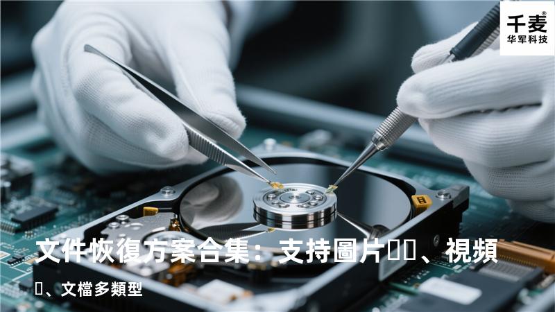 文件恢復方案合集：支持圖片、視頻、文檔多類型 